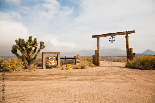 AdobeStock_29022450_Preview